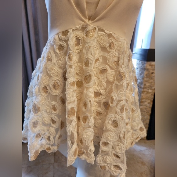 Mini Dress - Picture 4 of 6